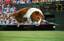 Guineapigtennis